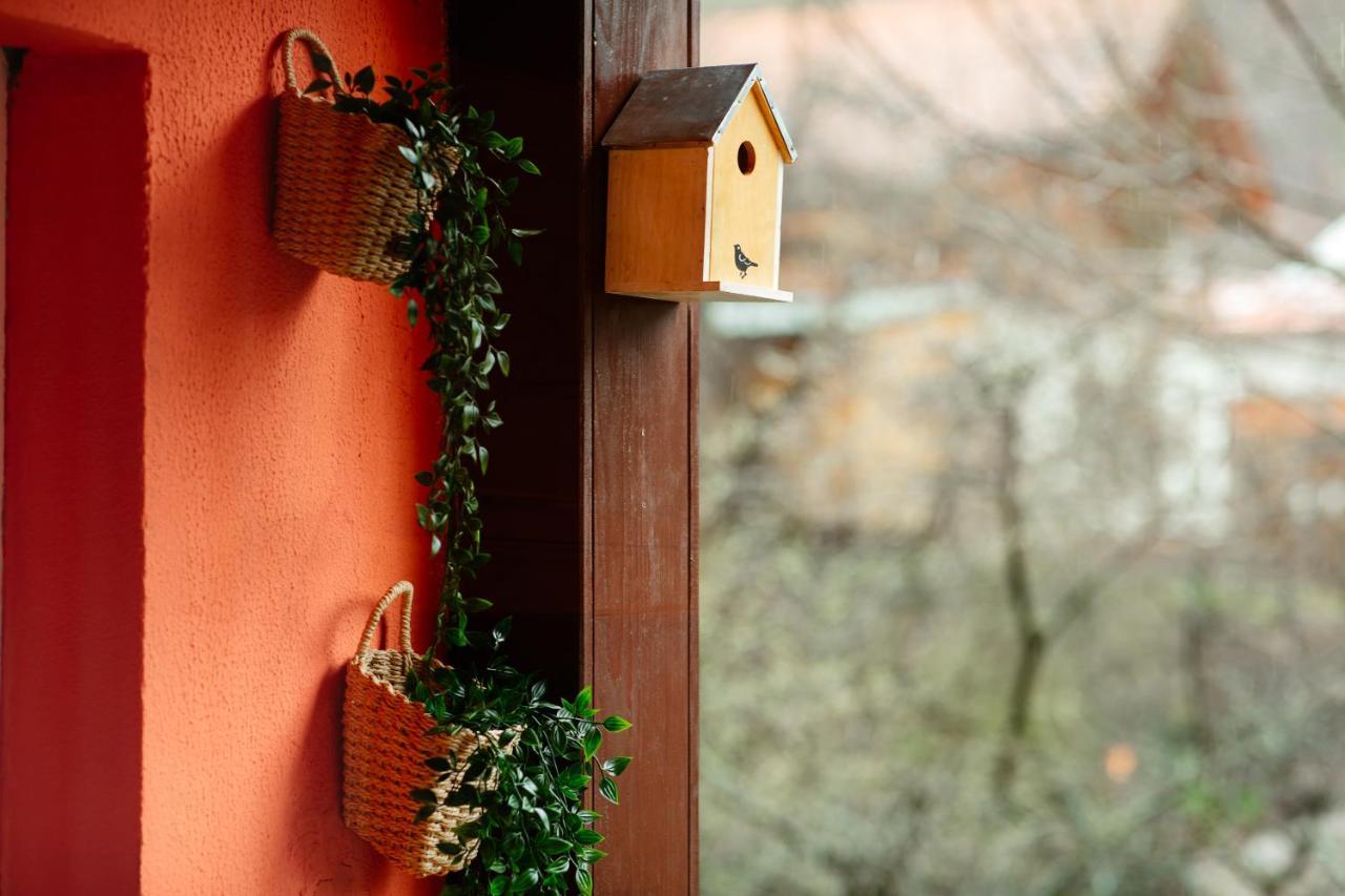 Home & Garden With Stunning View 锡纳亚 外观 照片